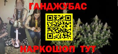 Альфа ПВП Новозыбков