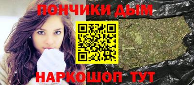 индика Нягань